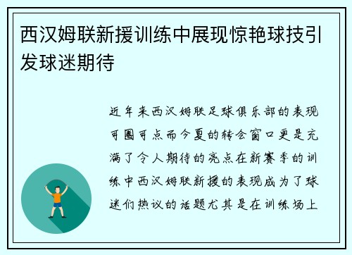 西汉姆联新援训练中展现惊艳球技引发球迷期待