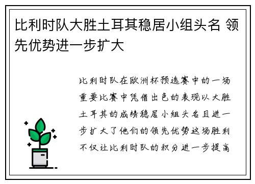 比利时队大胜土耳其稳居小组头名 领先优势进一步扩大